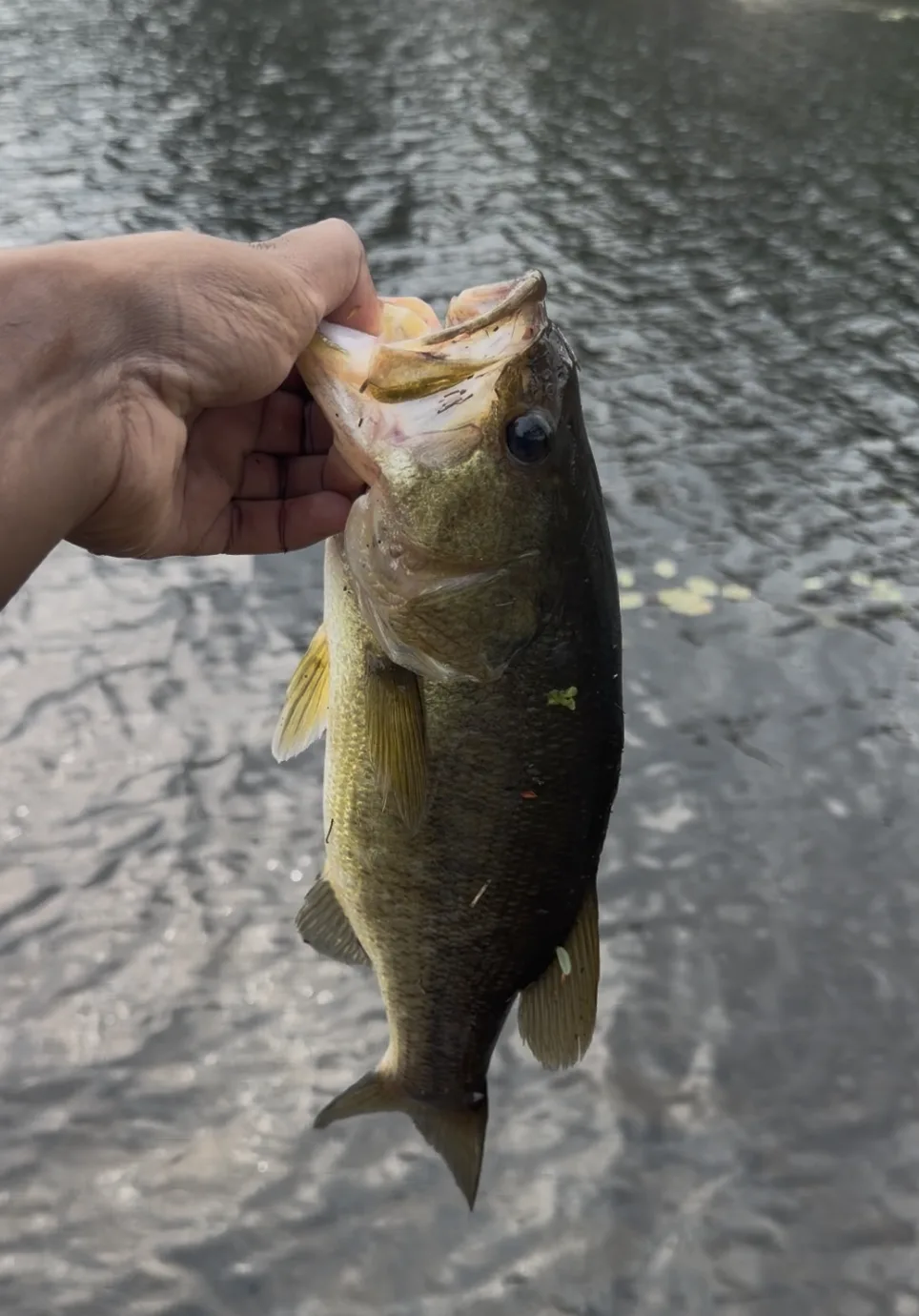 Best fishing spots near Hartley Bay Cottages