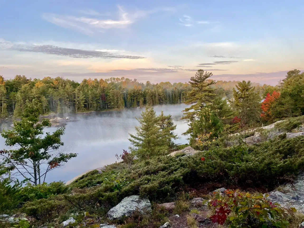 Fall View